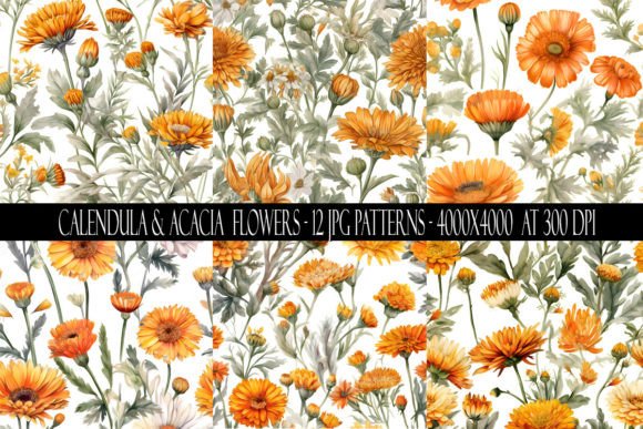 Calendula and Acacia Flower Patterns: A Versatile Design Resource for Commercial and Creative Projects