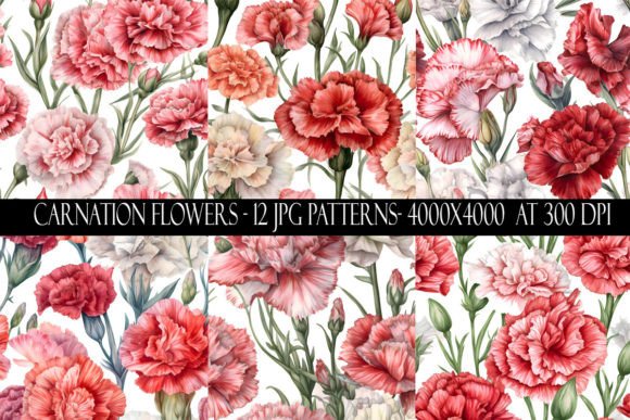 Carnation Flower Patterns