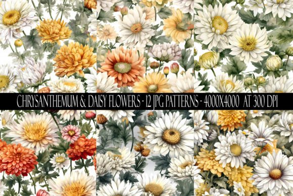 Chrysanthemum and Daisy Flower Patterns